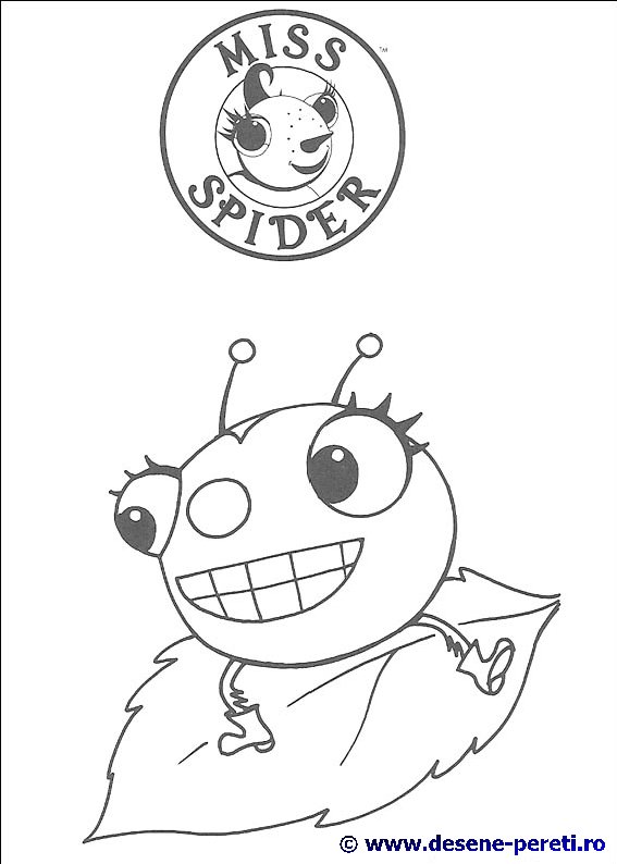 miss spider desene colorat